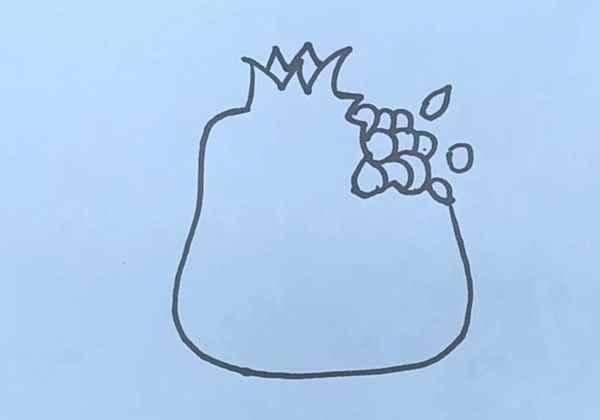 石榴简笔画(石榴籽的形状有哪些怎么画)