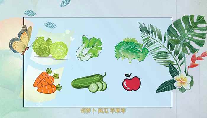 仓鼠吃什么(仓鼠的食物是很容易准备的)