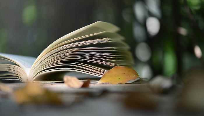 关于书的成语有知识礼、闭门读书、焚书坑儒、知书识字、博览群书