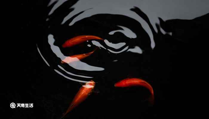 水至清则无鱼的意思 人至察则无友水至清则无鱼的意思