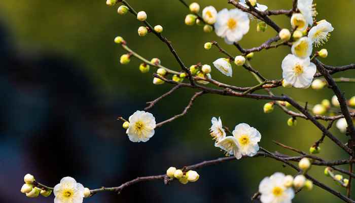 才下眉头却上心头表达了什么 才下眉头却上心头是哪首词