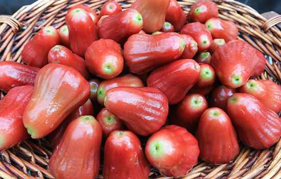 三亚有哪些特色水果(三亚的特色水果有哪些)