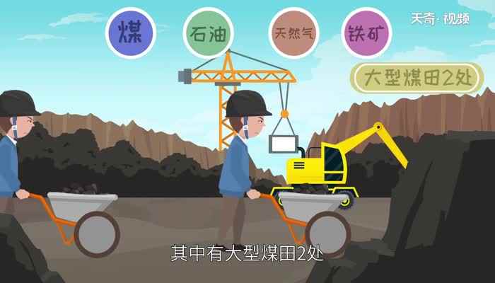 辽a是哪里的车牌号码(辽a是辽宁省沈阳市的车牌号码)