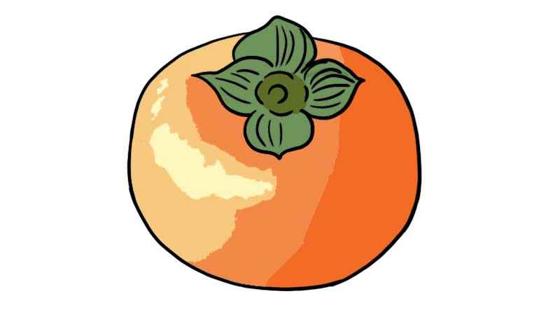 柿子简笔画(柿子的轮廓是什么意思)