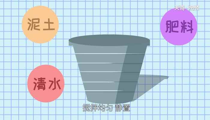 碗莲的种植方法 碗莲怎么种植才正确