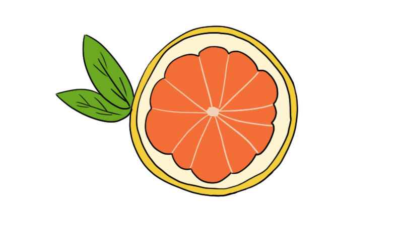 柚子简笔画彩色(柚子果肉的轮廓怎么画)