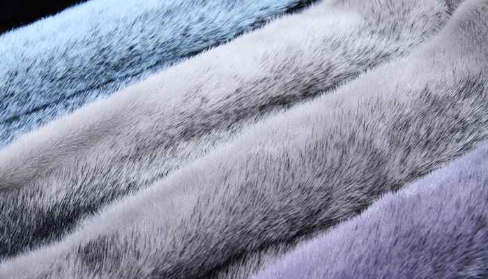 水貂毛和貂毛的区别(水貂毛的价格是多少)