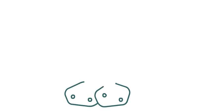 海草简笔画怎么画(两块海底石头和海草的区别)