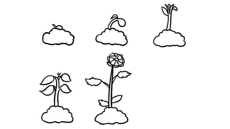 植物生长过程6张简笔画(植物冒出芽和长高一点的轮廓)