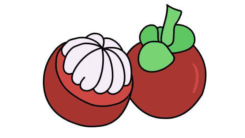 山竹简笔画(山竹露出的果肉怎么画)