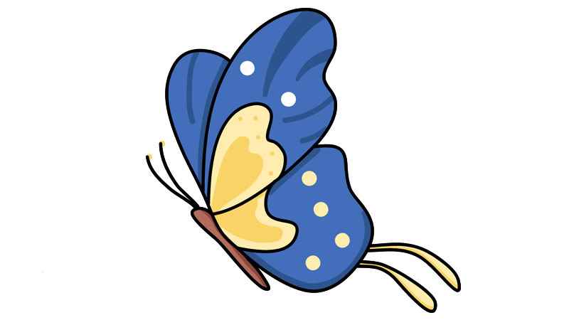 蝴蝶简笔画(画出蝴蝶的翅膀和翅膀上的图案)