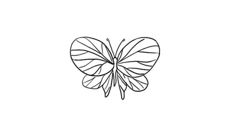蝴蝶涂色模板教程