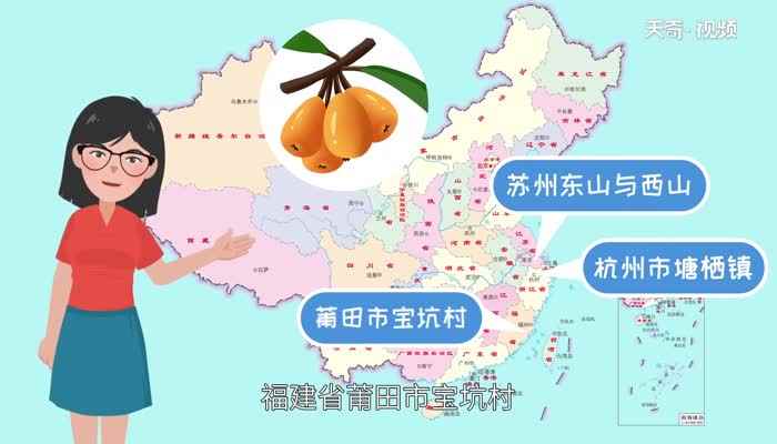 枇杷什么时候成熟(枇杷是什么时候成熟)