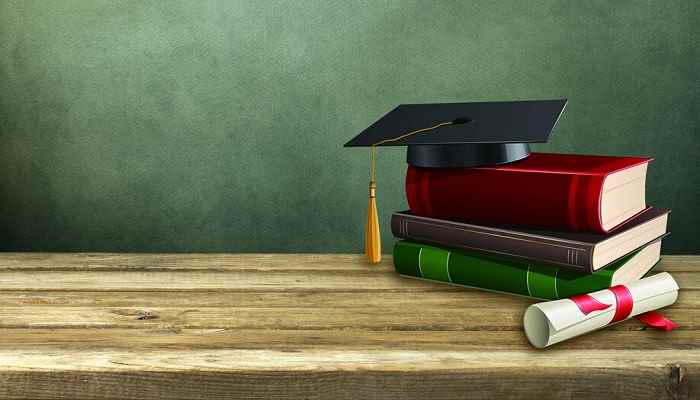 新文化运动的基本口号是(新文化运动的基本内容)