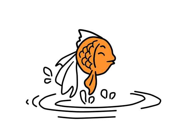 金鱼简笔画(画出金鱼的头是什么意思)