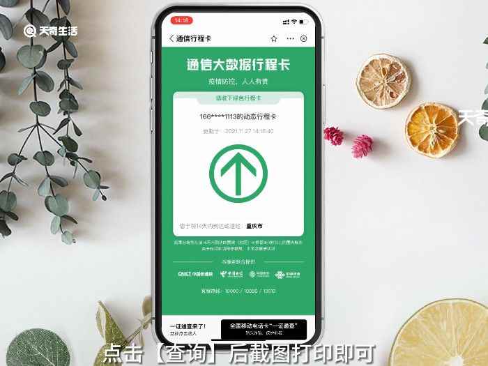 怎样打印行程码(支付宝个人行程码查询方法)