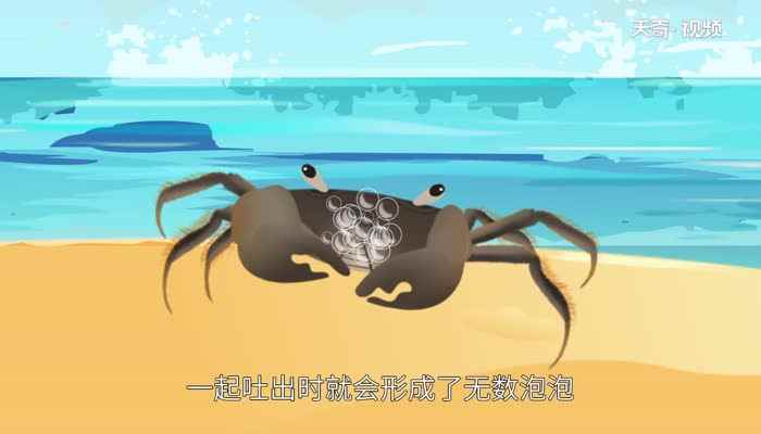 螃蟹为什么吐泡泡 为什么螃蟹会吐泡泡