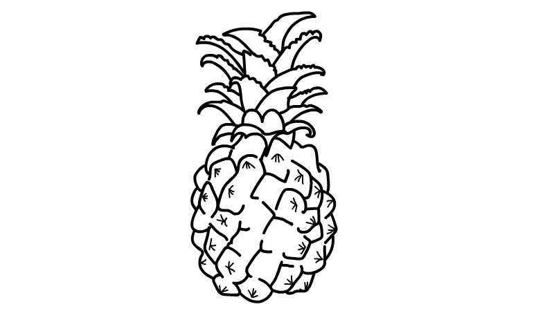 菠萝简笔画(如何画出菠萝表面的线条)