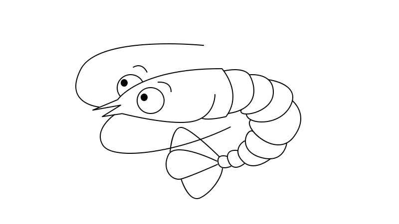 虾简笔画画法(画虾的身体线条有哪些)