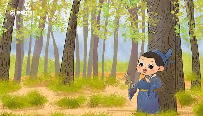 草字头有哪些字(草字头的字有哪些)