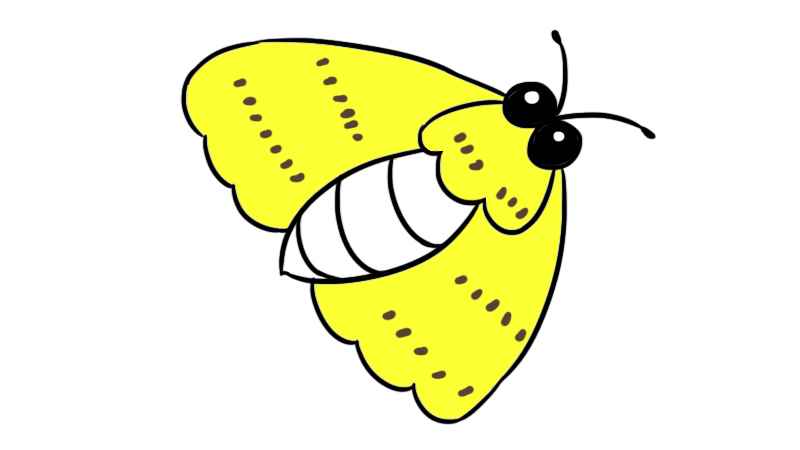 飞蛾简笔画(画出飞蛾的眼睛、触角。)