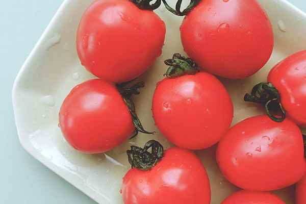 番茄的功效与作用(生津止渴、开胃消食、降压降脂)