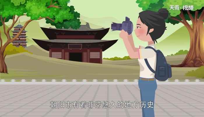 辽n牌照是哪个城市(辽n是辽宁省朝阳市的车牌)