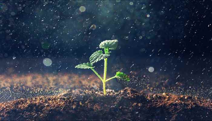 泥土的主要成分为矿物质、有机质、水分和空气这四种物质