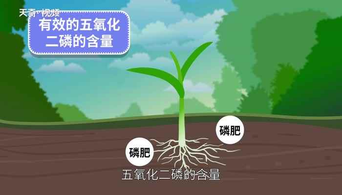 磷肥的作用(磷肥效的显著程度和快慢决定于磷肥中有效的五氧化二磷的含量、土)