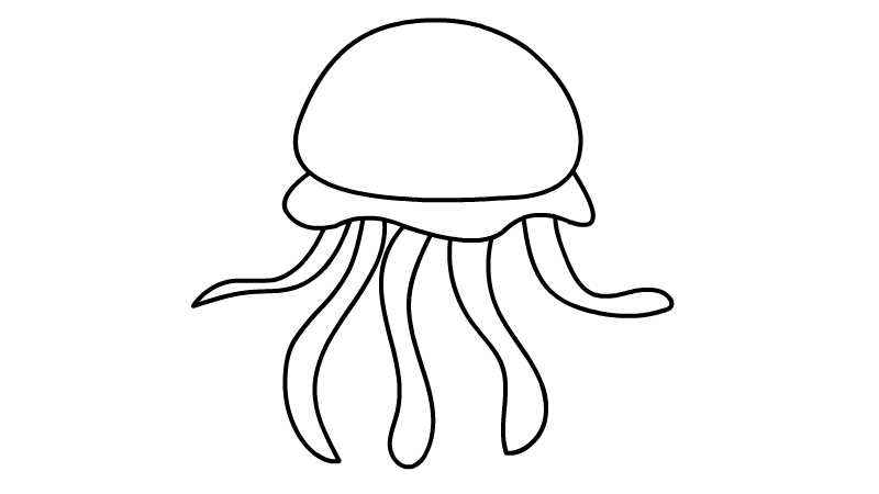 水母简笔画怎么画(如何画水母的脑袋线条)