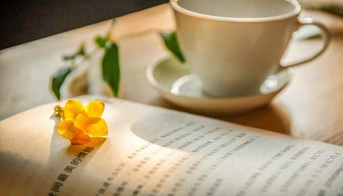 琵琶行赏析 琵琶行诗歌赏析