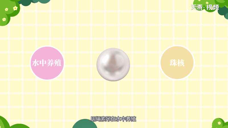 珍珠是怎么养出来的 珍珠是如何养出来的