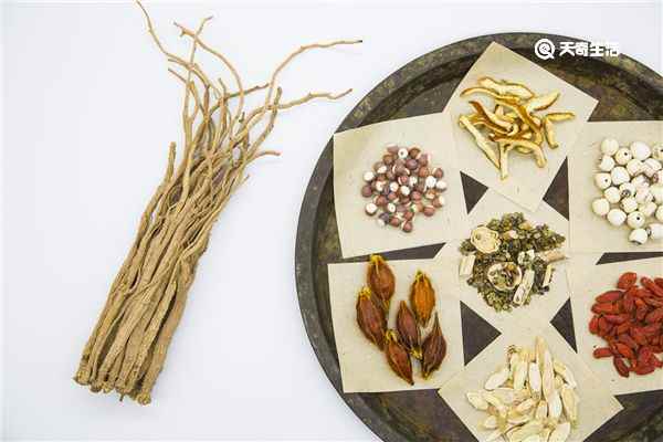 大定风珠的功效与作用(滋阴养液柔肝熄风、促进代谢)