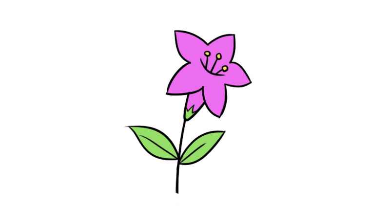 花朵简笔画简单又好看(先画一个星星形状的花瓣)