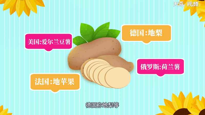 什么是土豆 土豆是什么