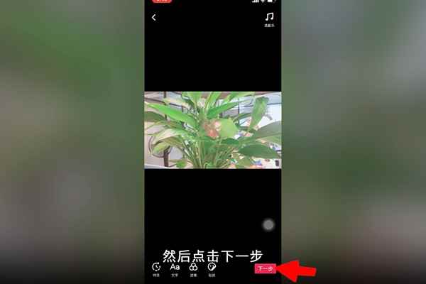 抖音怎么上传视频(抖音滤镜怎么使用特效)