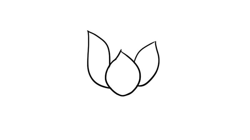 花瓣简笔画(先画出三片花瓣。画出第二层。)