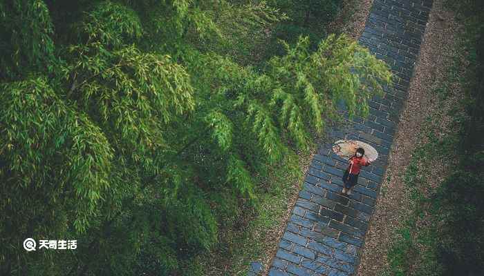 定风波全文(《定风波·莫听穿林打叶声》的全文)