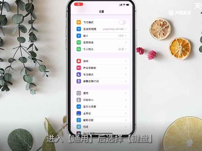 苹果输入法在哪设置(苹果手机怎么设置输入法)