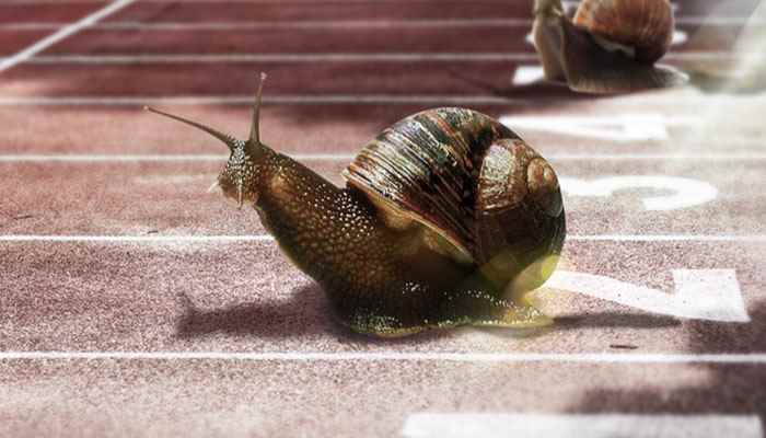 功夫不负有心人的意思是什么 功夫不负有心人字词解释