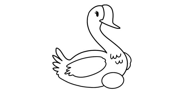 鹅简笔画(鹅的身体怎么画才好看)