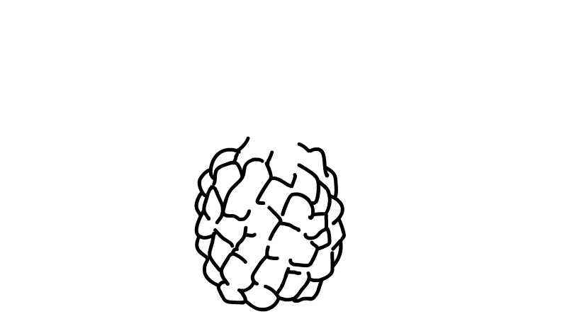 菠萝简笔画(如何画出菠萝表面的线条)