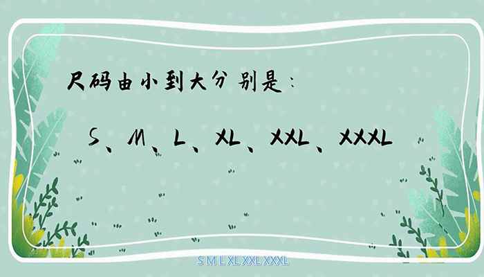 xl是多大尺码 xl尺码是多大