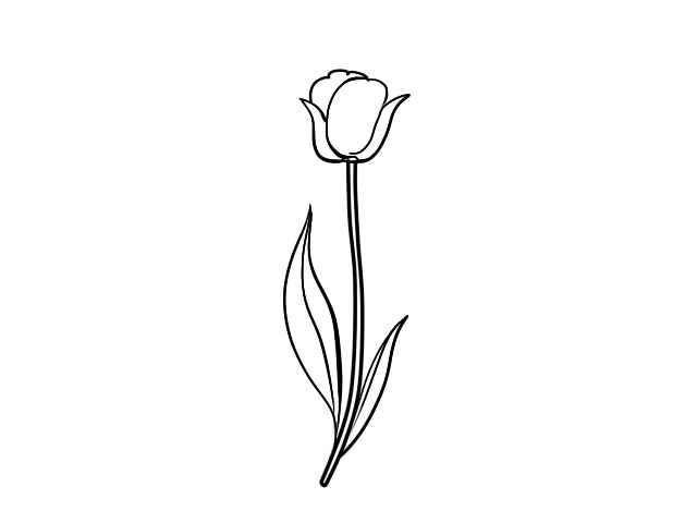 郁金香怎么画(花枝和花叶涂上绿色就画好了)