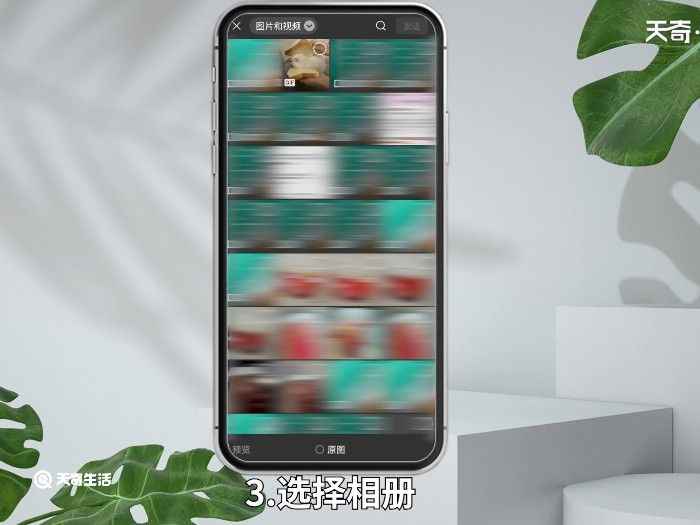 微信能发动图吗 微信动图怎么发送