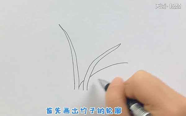 竹子的简笔画(竹子的简笔画简单又漂亮)