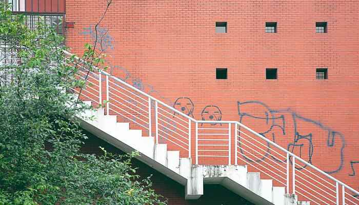 四川大学锦江学院学费(四川大学锦江学院2019年招生简章)