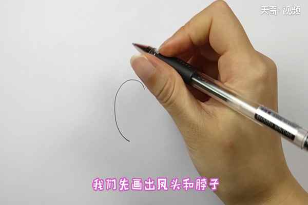 凤凰简笔画(凤凰简笔画简单又漂亮)