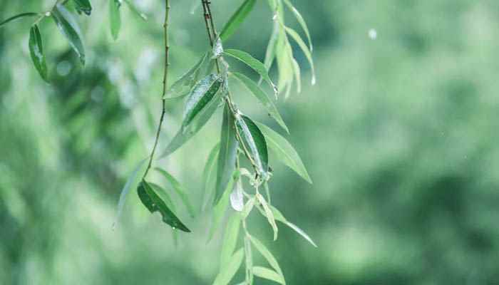 我国温度带的划分依据  我国温度带的划分依据是什么