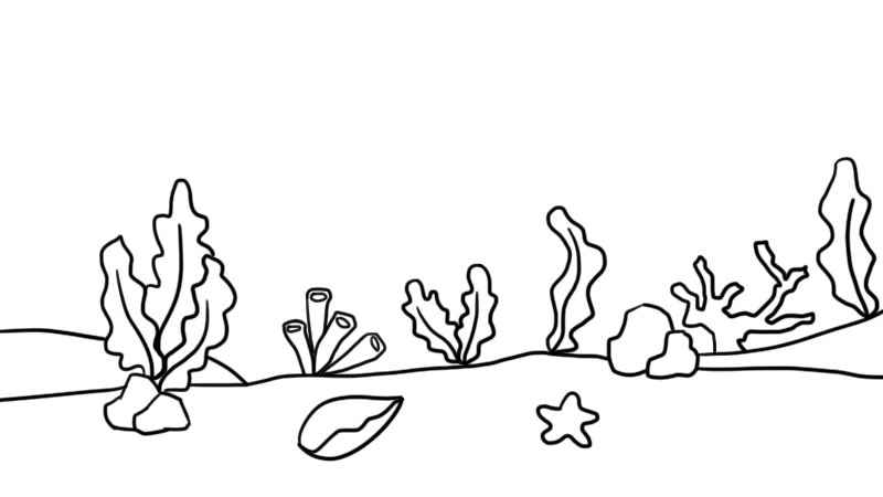 海洋简笔画怎么画(海草、贝壳、珊瑚的画法)
